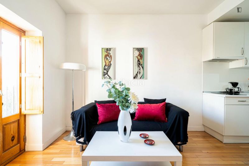 Foto ef5dc285-09c5-4857-9a79-d22968a46d47. Rent apartment in Puerta del Ángel Madrid