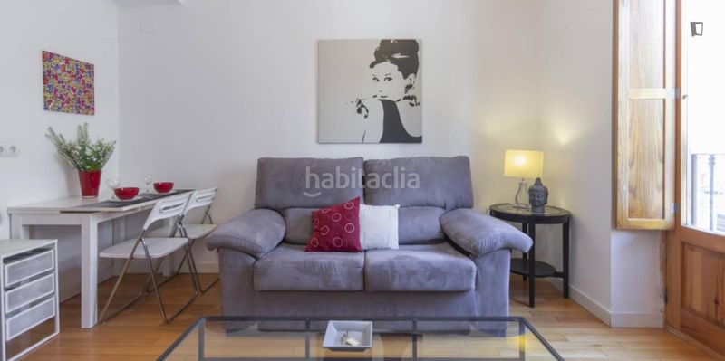 Foto 18d5ccb3-74a6-45ef-8033-c032e449a741. Lloguer apartament amb calefacció a Puerta del Ángel Madrid