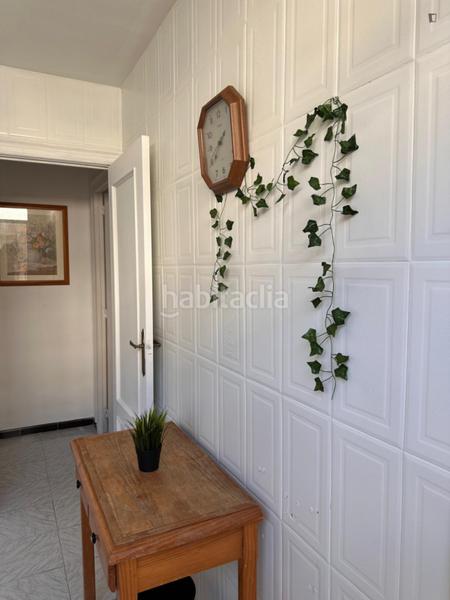 Foto c66bedd9-cb83-4eb4-b22f-3c270db372ac. Location appartement dans Malva Rosa Valencia