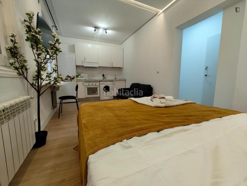 Foto 49785bf8-3cbf-4c2b-93e5-a166e848c10e. Rent studio in Trafalgar Madrid