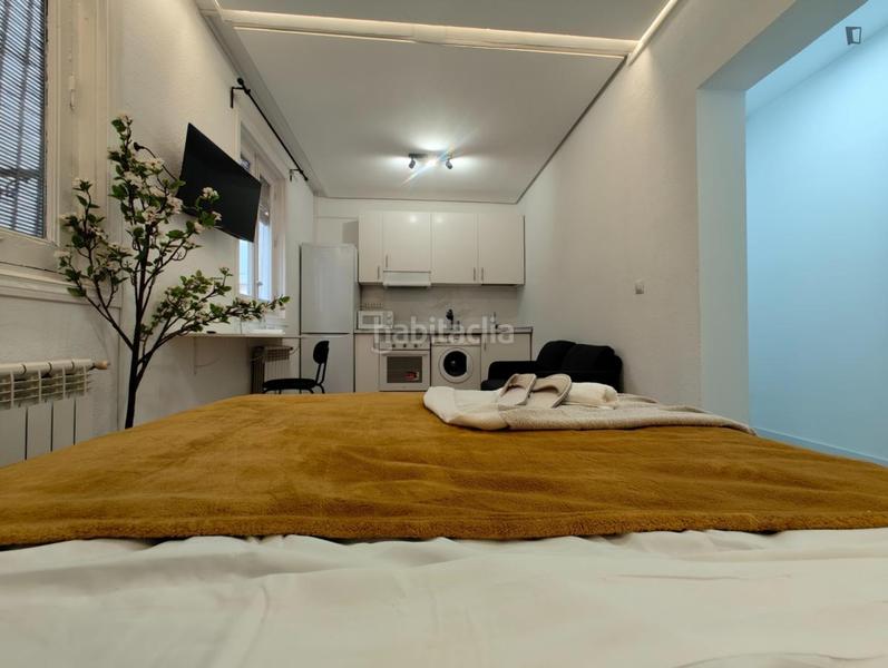 Foto fa7c2fc1-4e9f-4e4e-a72e-7613708dbda3. Rent studio in Trafalgar Madrid