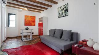 Location Appartement à Gòtic