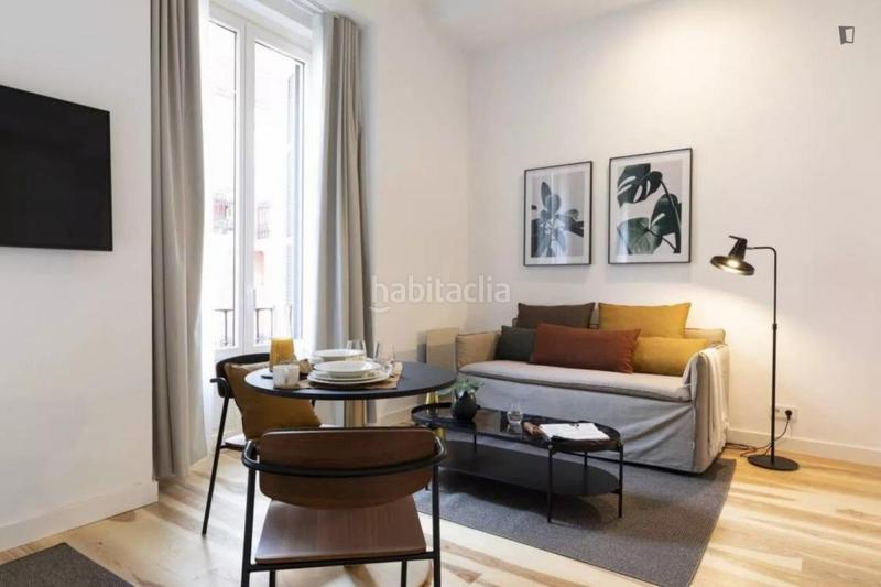 Foto 1f798cf8-1a15-4cc8-8797-0aff24c003d2. Affitto monolocale con riscaldamento in Cortes-Huertas Madrid