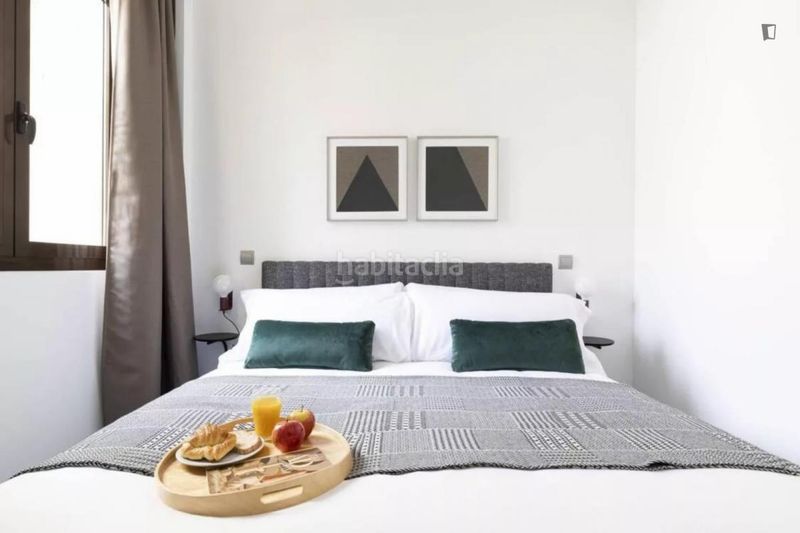 Foto 049e6936-5b02-4338-9526-5628380cff3a. Lloguer apartament amb calefacció a Sol Madrid