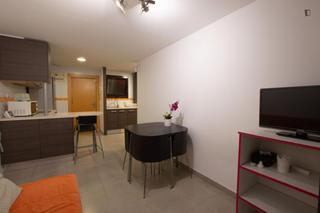 Lloguer Apartament a Raval