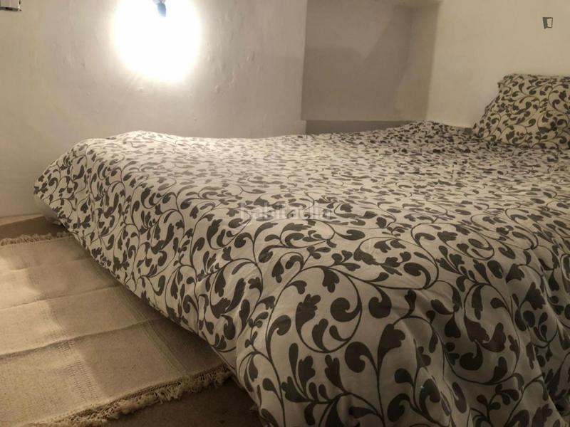 Foto aff205ac-4775-4996-9727-13d0d01e2ed0. Alquiler estudio en Embajadores-Lavapiés Madrid