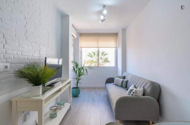 Foto 0f8cbb99-9475-4172-80f7-2e7d7e13bef9. Alquiler apartamento en El Palo Málaga