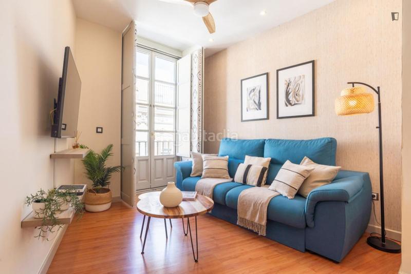 Foto 398df354-4959-49d0-a27f-9a546e989509. Alquiler apartamento en Centro Histórico Málaga
