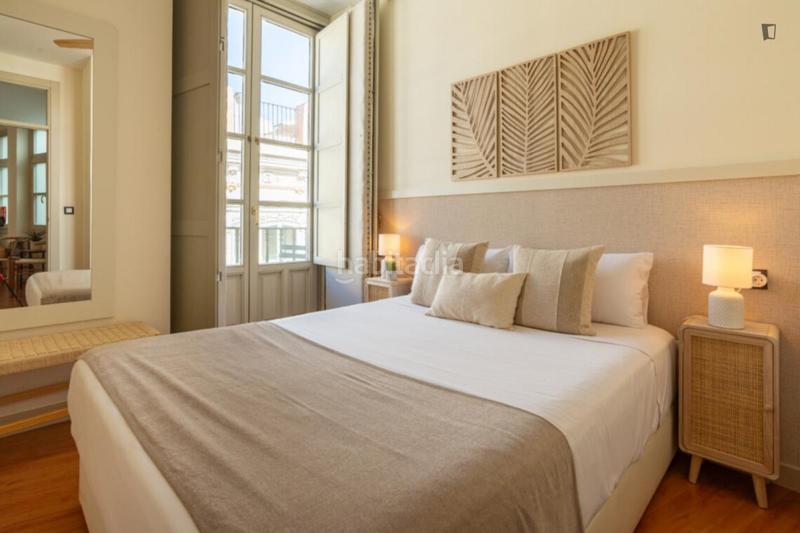 Foto 77eda223-79de-4aa8-b7cd-7542714acb0f. Alquiler apartamento en Centro Histórico Málaga