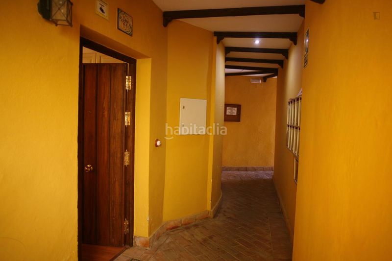 Foto 9869ff56-df2d-4012-942b-ee6b689bf82e. Miete studiowohnung mit heizung in Feria Sevilla