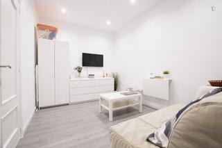 Alquiler Apartamento en Embajadores-Lavapiés