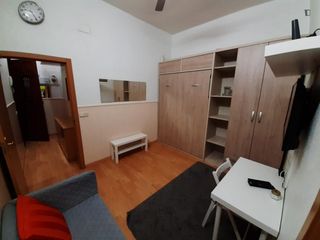 Miete Studiowohnung in Embajadores-Lavapiés