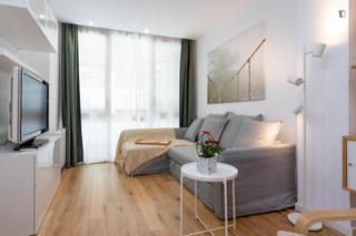 Rent Apartment in Fort Pienc