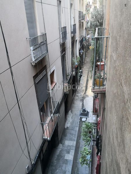 Foto 3033d34b-56b7-4c7b-a27b-0475b848fb46. Miete studiowohnung in Gòtic Barcelona