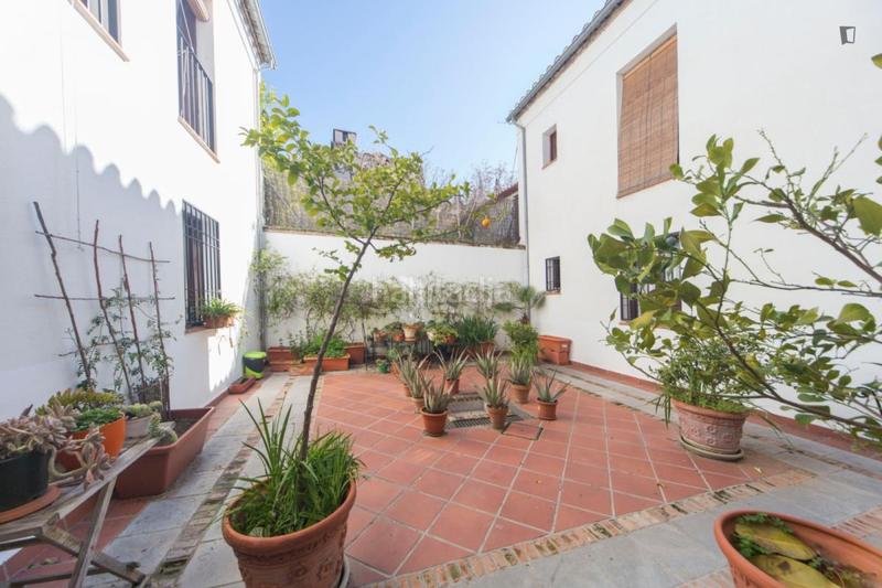 Foto eb8fb313-6927-45cc-a362-5e4a3c87fc28. Affitto piccolo appartamento in Barrio de Albaicín Granada