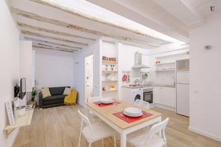 Lloguer Apartament a St. Pere - Sta. Caterina - El Born