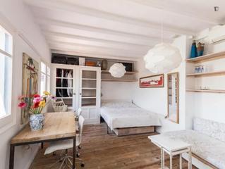 Alquiler Estudio en St. Pere - Sta. Caterina - El Born