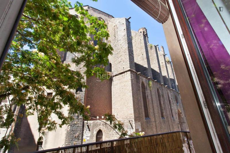 Foto 5a9d0bb2-9b3b-4b50-94d2-0c9ac7f96efc. Alquiler estudio en Raval Barcelona