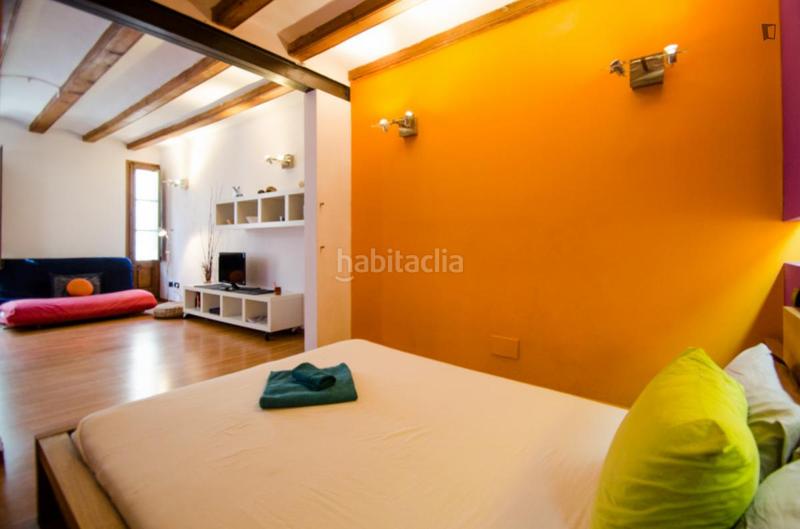 Foto 20983efd-aaaf-45bd-9b2d-828fa246c01e. Miete studiowohnung in Gòtic Barcelona