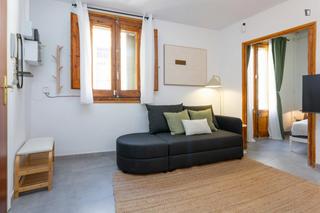 Alquiler Apartamento en St. Pere - Sta. Caterina - El Born