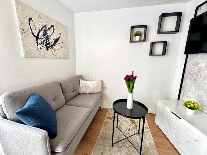 Foto 7a94b39f-d4f1-4725-875a-07c8c3458596. Alquiler estudio en Berruguete Madrid