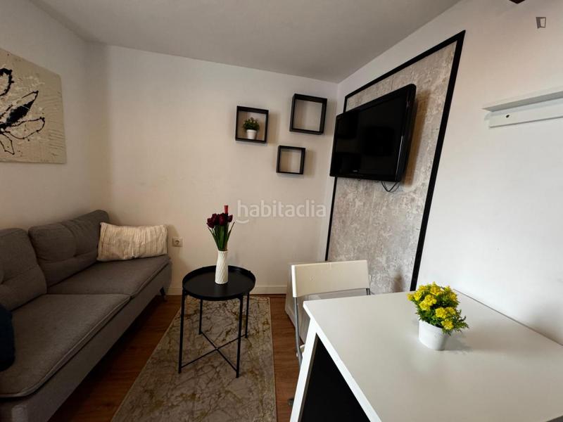 Foto b2e556ef-2af6-41ce-86fb-def5c5557a8e. Alquiler estudio en Berruguete Madrid