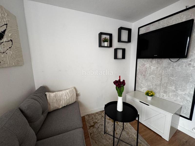 Foto 279e06cd-5dd1-4757-abba-fb823b63965e. Rent studio in Berruguete Madrid
