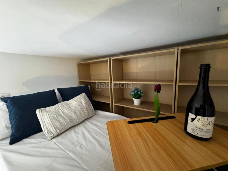 Foto 98100a86-1c18-4174-96e8-6f18051b7a63. Rent studio in Berruguete Madrid