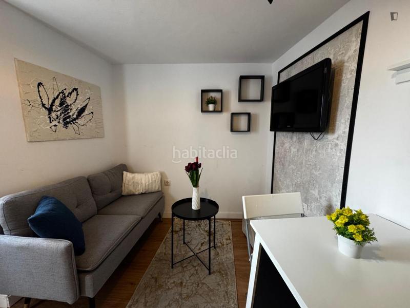 Foto d5c62cbf-3b05-4860-99c0-0d4987ea7491. Rent studio in Berruguete Madrid