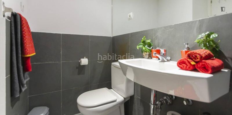 Foto f65b571d-222b-4ab4-a33d-07f445d40b53. Rent apartment with heating in Puerta del Ángel Madrid