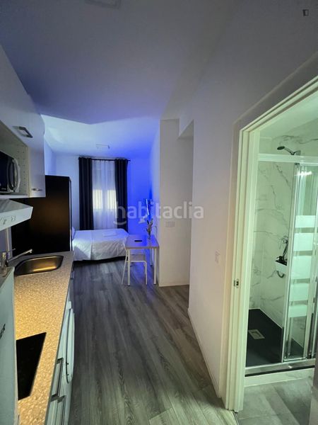 Foto 106c9901-f3c2-4a87-b14f-988e48174fb9. Location studio avec chauffage dans Arapiles Madrid