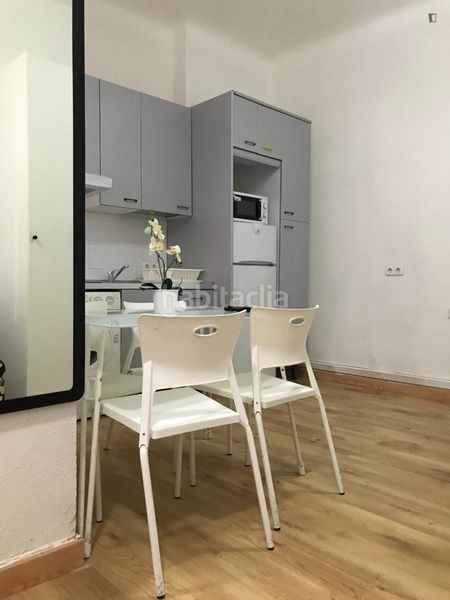 Foto adc45217-0fa9-4c6c-9ed4-5e806df7e8b8. Location studio avec chauffage dans Gaztambide Madrid