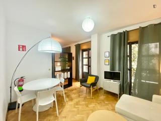 Alquiler Apartamento en Embajadores-Lavapiés