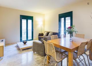 Miete Appartement in Gòtic