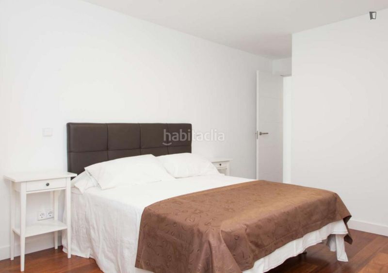 Foto 1f5361ef-f748-4317-90f6-1072b4ad2aa0. Lloguer apartament a Sol Madrid