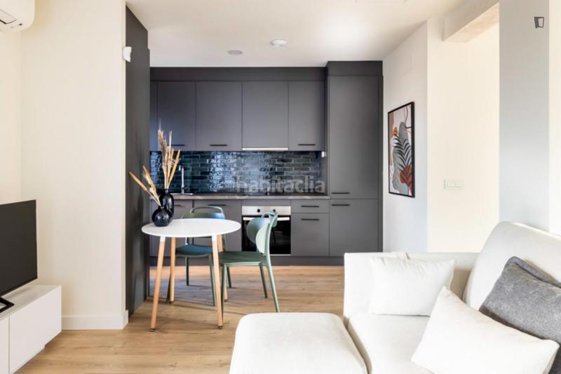 Foto 7c49d8d3-985f-4045-89c2-5d57a8b15a60. Rent studio in Almenara-Ventilla Madrid