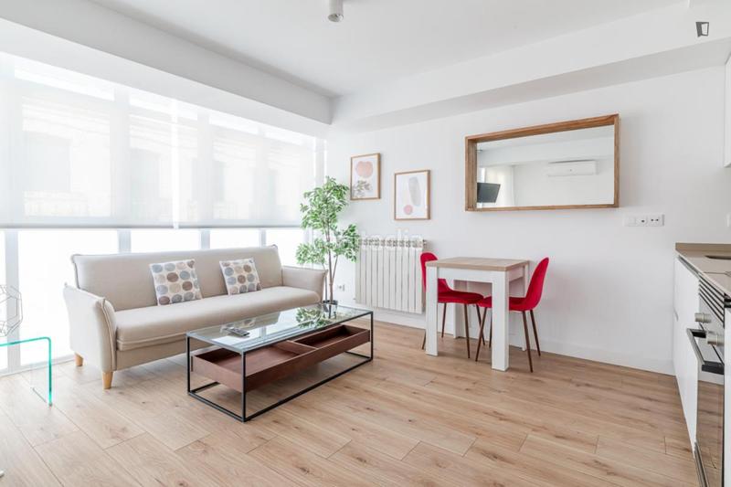 Foto 417461d5-b2f4-48a0-9b58-9d62c2cb0643. Rent studio in Castillejos-Cuzco Madrid