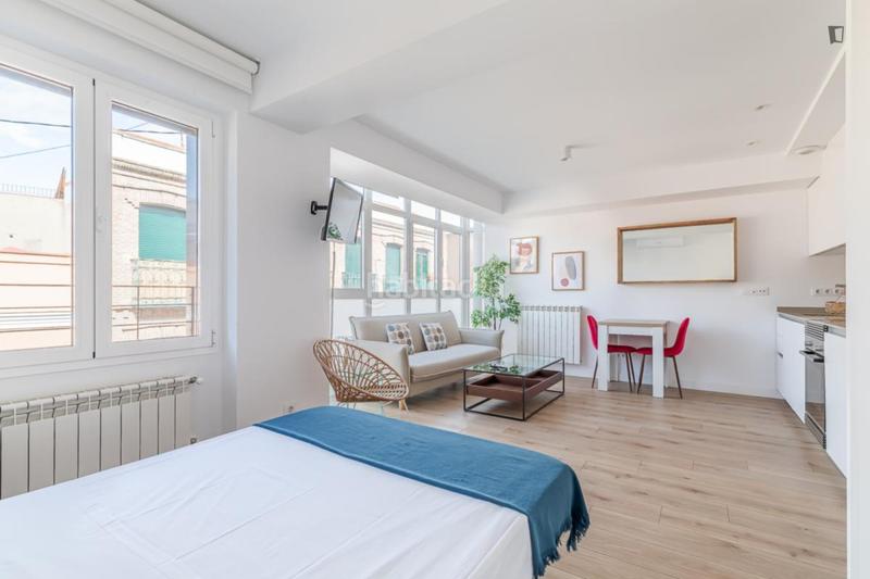 Foto 87ffca84-4bcc-4be4-a944-190786c7208b. Rent studio in Castillejos-Cuzco Madrid