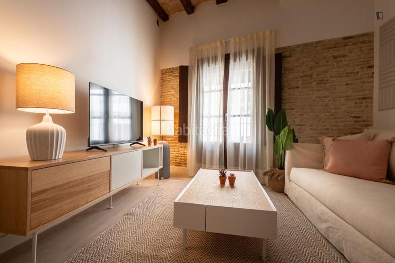Foto 0afe708f-e3d6-4f05-9324-105fb0c77479. Lloguer apartament a Raval Barcelona
