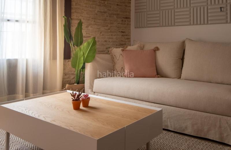 Foto 796bdfa7-ad3a-4430-86df-1f79f17e7d8a. Lloguer apartament a Raval Barcelona