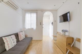 Apartamento en Embajadores-Lavapiés