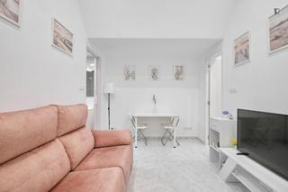 Lloguer Apartament a Embajadores-Lavapiés