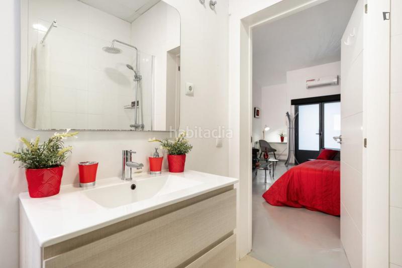 Foto 82658cbe-9e00-4c04-bae3-b40476447f0b. Rent studio in Pueblo Nuevo Madrid
