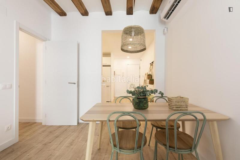 Foto baf82843-79fd-4b19-bfda-a7f2b79ae8eb. Affitto piccolo appartamento in Raval Barcelona