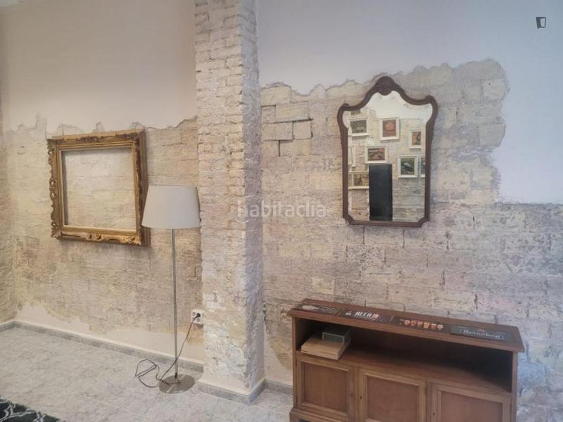 Foto 0073a36f-7310-4d81-af17-9138db01857d. Alquiler apartamento en El Botànic Valencia