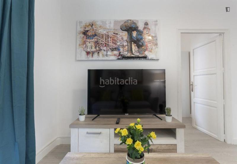 Foto 4906179d-8e90-405f-9022-d9a910fc6ad4. Alquiler apartamento en Embajadores-Lavapiés Madrid