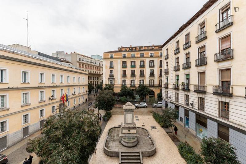 Foto 41ba61c9-f452-48c6-bdf9-ce7f8affc6f8. Location appartement dans Sol Madrid