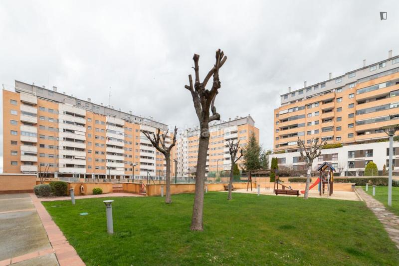 Foto b9ff84ed-9419-4184-99c4-1736025a0e11. Alquiler apartamento en Parque Oeste-Fuente Cisneros Alcorcón