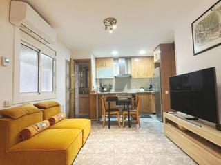 Rent Apartment in La Florida