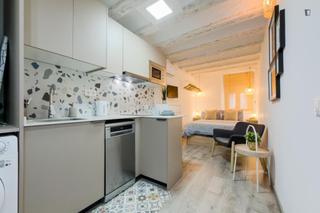 Miete Studiowohnung in Raval